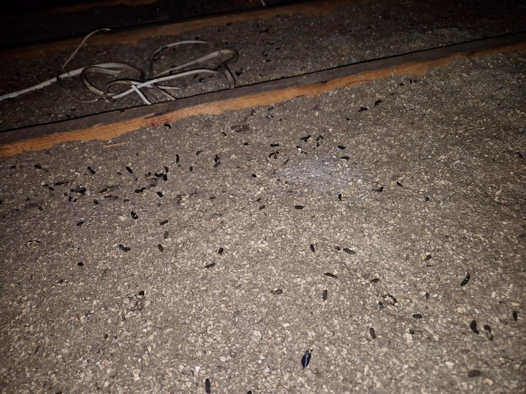 Prevention Checklist