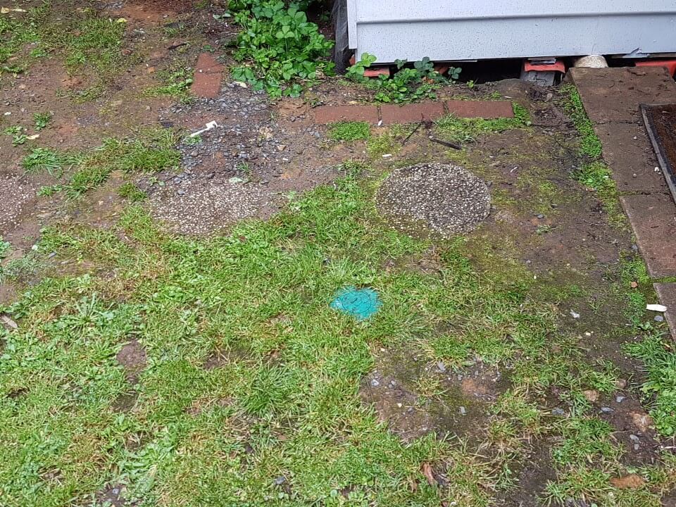 Trelona Termite Bait Station